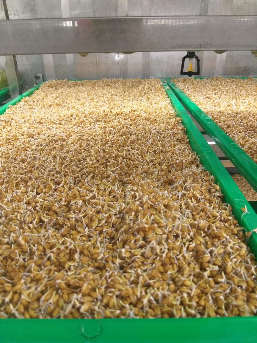 WhatsApp Image 2020-07-16 at 20.26.21.jpeg