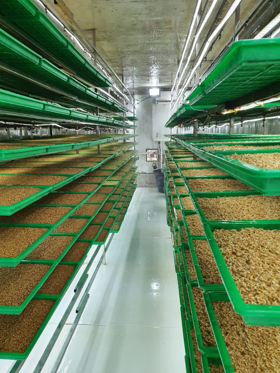 WhatsApp Image 2020-07-11 at 10.11.13.jpeg