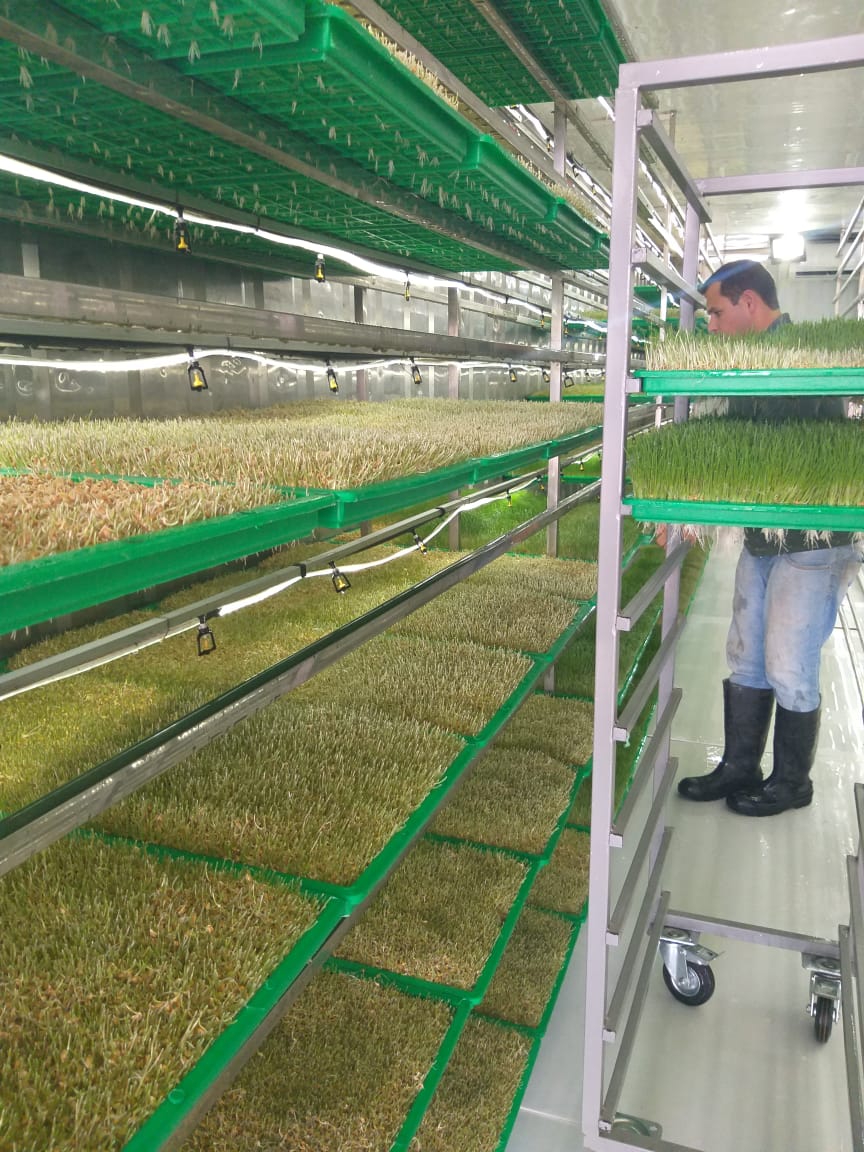 WhatsApp Image 2020-07-16 at 20.26.23.jpeg