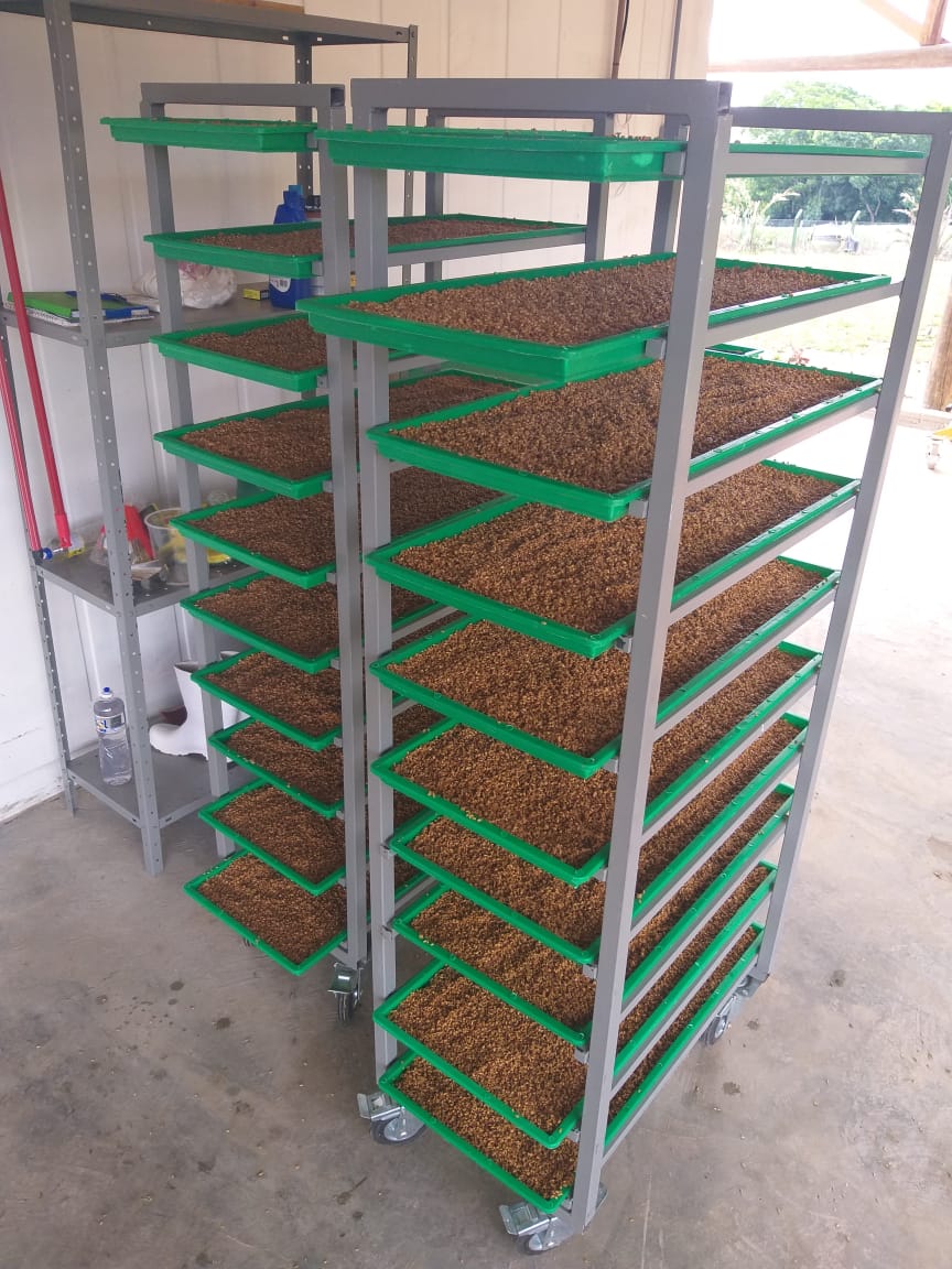 WhatsApp Image 2020-07-16 at 20.26.18.jpeg